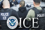 Attorney Brusstar, US Plead not guilty, 8 indians detained in us visa scam plead not guilty, Visa scam