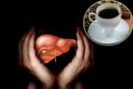 Hepatic Cancer treatment, Coffee in protecting Livers, coffee consumption helps in protecting boozers livers, Coffee consumption
