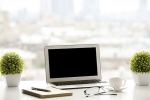 plants, office, a plant in your office can help in preventing sick days says experts, Figs
