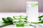 Aloe Vera Water news, Aloe Vera Water health benefits, how aloe vera water soothes your stomach, The