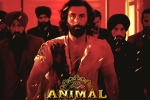 Animal Filmfare Awards, Animal breaking updates, record breaking nominations for animal, Bobby