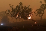 Australia, Australia, australia fires warnings of huge blazes ahead despite raining, Global warming