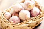 Chinese garlic banned, Chinese garlic problems, how to identify banned chinese garlic in the indian market, Spicy