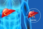 Fatty Liver Disease News, Fatty Liver Disease News updates, body organs that can be affected by fatty liver disease, Excessive drinking