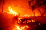 California Wildfire latest, California Wildfire loss, california declares wildfire emergency, Oscar nominations