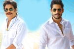 Bangarraju trailer, Bangarraju trailer, ten days worldwide collections of bangarraju, Soggade chinni nayana