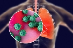 coronavirus, transmission, new studies explain how the coronavirus enters our body, Cornea