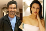 Triptii Dimri with Dhanush, Triptii Dimri breaking news, dhanush to romance animal actress triptii dimri, Triptii dimri