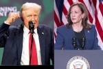 Donald Trump Vs Kamala Harris breaking, Donald Trump Vs Kamala Harris latest, donald trump calls kamala harris is married to a jewish man, Judges