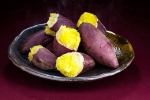 Sweet Potato advise, Sweet Potato for health, what happens if you eat sweet potato everyday, Latest news