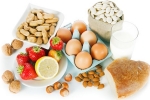 Ish Baid, Michael Copley, students at michigan state university develop free food allergy app, Food allergy
