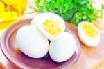 Eggs Overrated Food updates, Eggs, are eggs the overrated health food in the world, Holi
