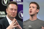 Elon Musk Vs Mark Zuckerberg, Elon Musk Vs Mark Zuckerberg news, elon musk vs mark zuckerberg rivalry, Walrus