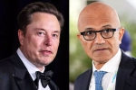 Elon Musk Vs Satya Nadella warning, Elon Musk Vs Satya Nadella war, elon musk s warning to satya nadella after gpt 5 launch, Elon musk