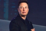 Elon Musk breaking news, Elon Musk, elon musk talks about cage fight again, Domino s