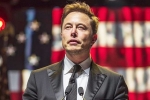 Musk intelligence, US elections, is elon musk in the trump cabinet, Donald trump and elon musk