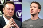 Elon Musk and Mark Zuckerberg flight, Elon Musk, elon vs zuckerberg mma fight ahead, Tech giants Elon Musk and Mark Zuckerberg flight, Elon Musk, elon vs zuckerberg mma fight ahead, Tech giants