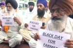 farm bill, farm bill, why farmers and politicians are against modi s farm laws, Farm bills