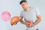 Fatty Liver 2025, Fatty Liver latest, fatty liver can be reversed in just one month, Yoga