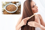 Flaxseeds, Flaxseeds for hair, how flaxseeds can help for a long and healthy hair, Hair health