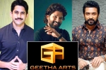 Geetha Arts new films, Geetha Arts projects, geetha arts to announce three pan indian films, Boyapati srinu
