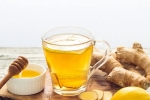 Ginger And Honey benefits, Ginger And Honey lung health, ginger and honey benefits for lung health, That Ginger And Honey benefits, Ginger And Honey lung health, ginger and honey benefits for lung health, That