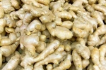 Ginger for Lung Health experts, Ginger for Lung Health news, how can ginger help in lung health, Sci fi