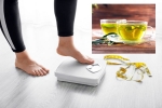 Green Tea for Weight loss survey, Green Tea, can consuming green tea really help in weight loss, Skin care