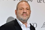 Harvey Weinstein, Harvey Weinstein, uk probe into harvey weinstein s sexual assaults widens with seven women, Gwyneth paltrow