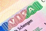Schengen visa, Schengen visa for Indians 2024, indians can now get five year multi entry schengen visa, Europe