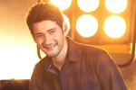 Mahesh Babu, Mahesh Babu new movie, mahesh babu getting bollywood beauty for his next, Sarileru neekevvaru