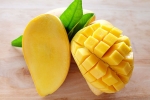 ripen mangoes artificially, chemicals in mangoes, mouth watering mangoes may contain cancer causing chemicals, Eye damage