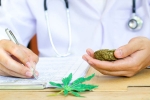 Michigan, marijuan, michigan approves medical marijuana for 11 new medical conditions, Medical marijuana