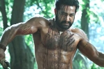 RRR news, Ramaraju for Bheem review, ramaraju for bheem ntr s deadly transformation as komaram bheem, Best actors RRR news, Ramaraju for Bheem review, ramaraju for bheem ntr s deadly transformation as komaram bheem, Best actors