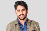 Naga Chaitanya, Love Story, interesting title for naga chaitanya s next, Majili