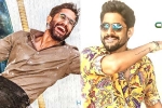 Naga Chaitanya new films, Naga Chaitanya updates, naga chaitanya gearing up with two films, Sushanth