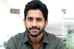 Naga Chaitanya about Bangarraju, Naga Chaitanya about Bangarraju, naga chaitanya coming up with a strong lineup of films, Soggade chinni nayana