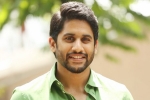 Naga Chaitanya new film, Naga Chaitanya new film, naga chaitanya signs his next, Savyasachi