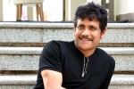 Nagarjuna new movies, Nagarjuna next movie, nagarjuna s 100th film will be a multi starrer, Wild dog Nagarjuna new movies, Nagarjuna next movie, nagarjuna s 100th film will be a multi starrer, Wild dog