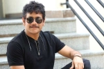 Nagarjuna next film, Mohan Raja, nagarjuna s 100th film locked, Bangarraju