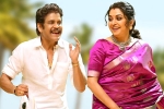 Bangarraju, Sankranthi 2022, nagarjuna s bangarraju turns hot among sankranthi releases, Ashok galla