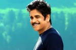 Nagarjuna and Rashmika Mandanna film, Nagarjuna and Rashmika Mandanna new movie, nagarjuna s surprise in dhanush s film, Sekhar kammula