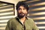 Nagarjuna Personal Rights new updates, Nagarjuna Personal Rights latest breaking, delhi high on nagarjuna s personal rights, Shiva