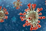 Covid-19, China Covid Row reports, new china coronavirus variant traced in india, Omicron