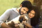 Ninu Veedani Needanu Nene movie review and rating, Ninu Veedani Needanu Nene Movie Tweets, ninu veedani needanu nene movie review rating story cast and crew, Tada