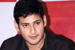 AR Murugadoss, Mahesh Babu, no clarity on mahesh s next title, Sambha