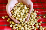 Pistachios protein snack, Pistachios latest, pistachios are a perfect protein snack, Fit