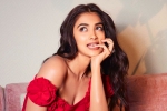 Pooja Hegde upcoming, Pooja Hegde next film, pooja hegde in talks for a biggie, Siddharth roy kapur