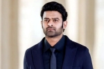 Prabhas new movie title, Prabhas next film, new updates of prabhas and maruthi film, Boman