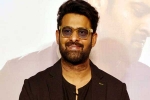 Prabhas Vintage King title, Prabhas Vintage King latest, interesting title for prabhas next, Vintage king